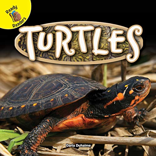 Rourke Educational Media Turtles (Reptiles!)