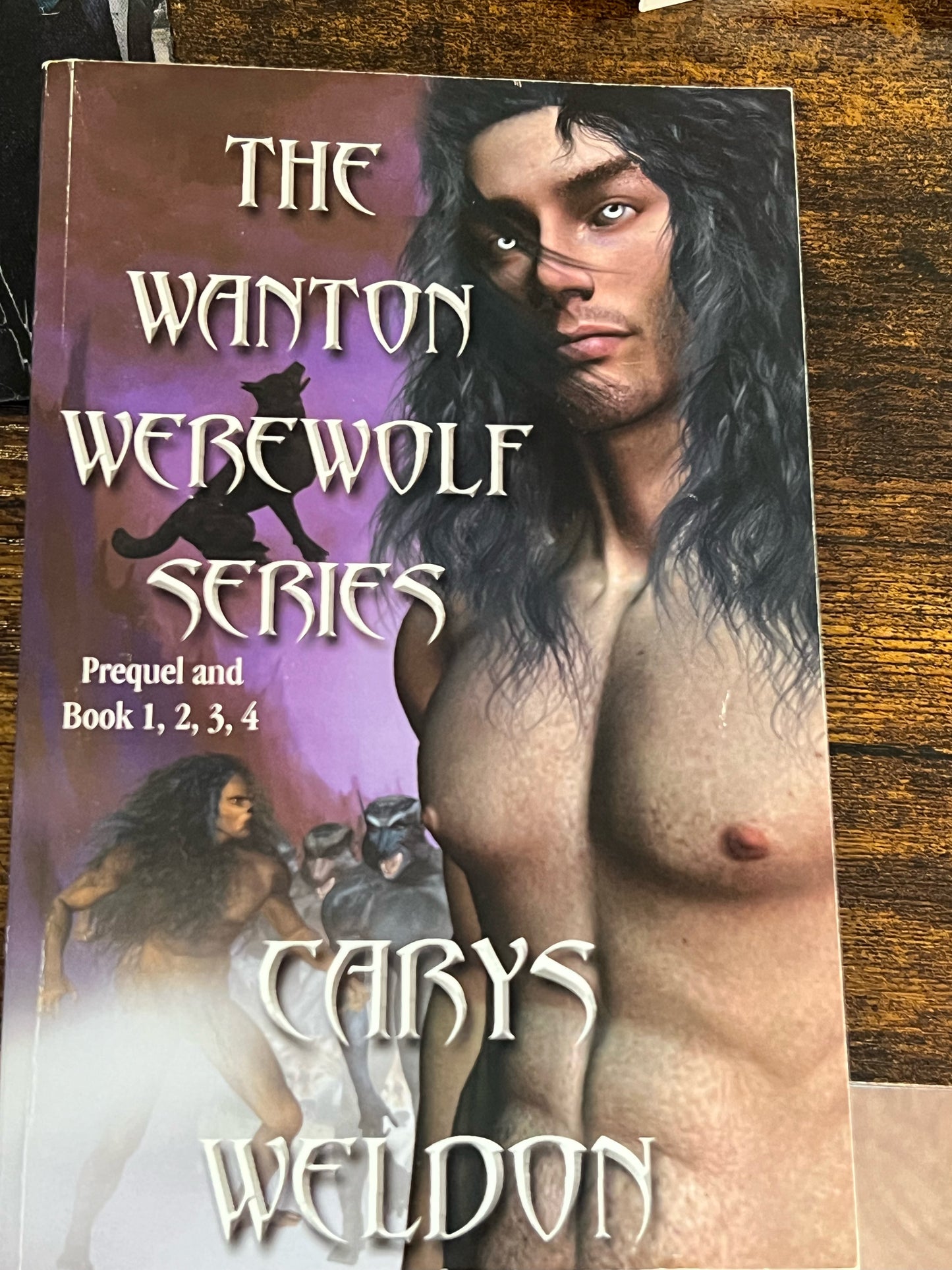 The Wanton Werewolf Series