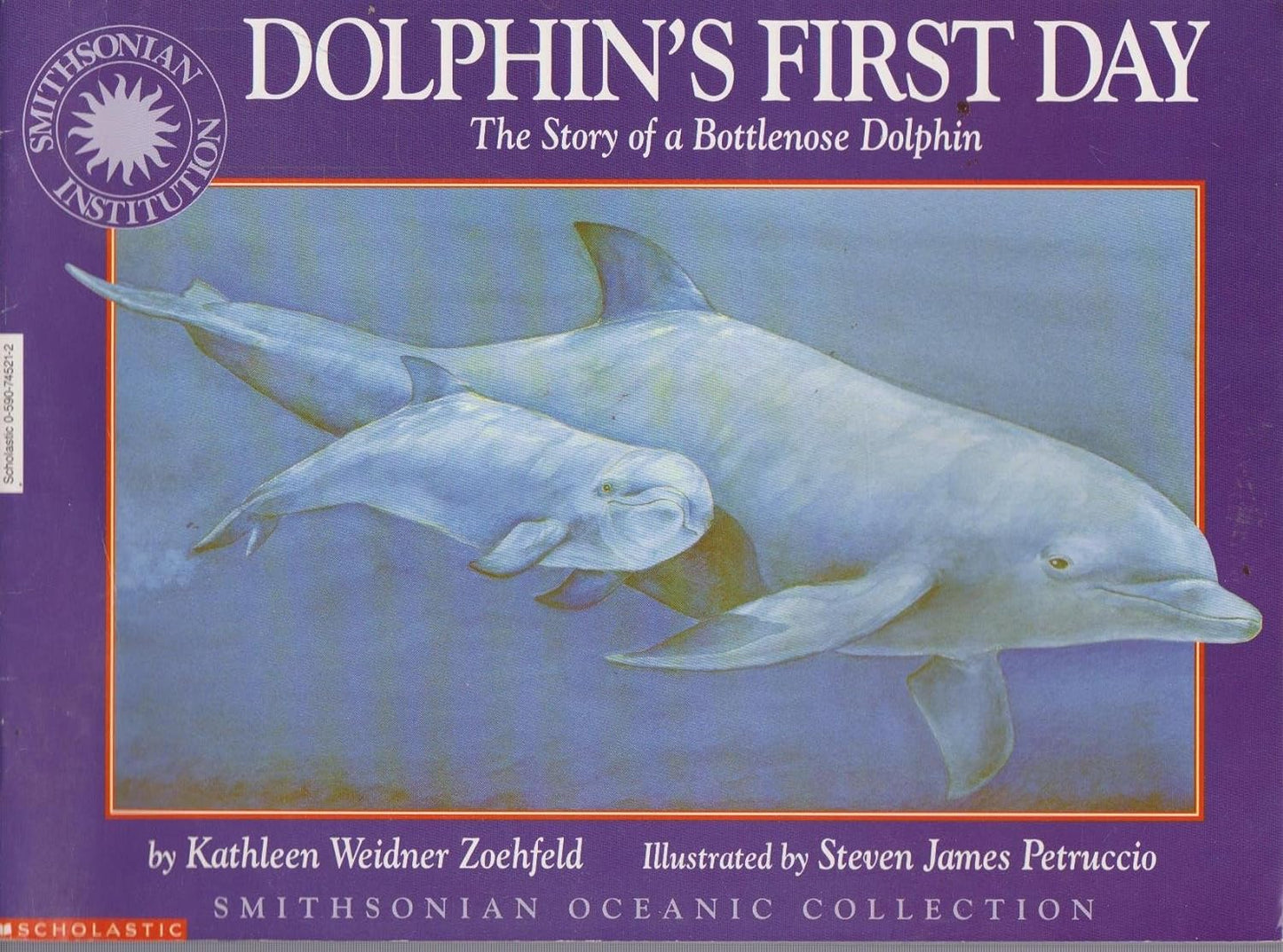 Dolphin's First Day