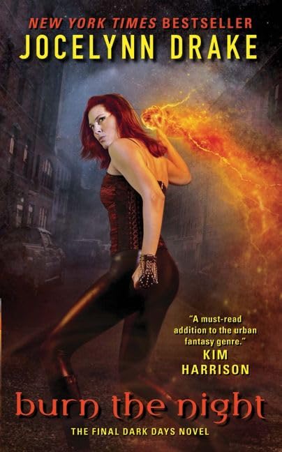 Burn the Night: The Final Dark Days Novel (Dark Days Series)