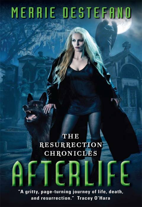 Afterlife: The Resurrection Chronicles