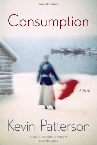 Consumption: A novel