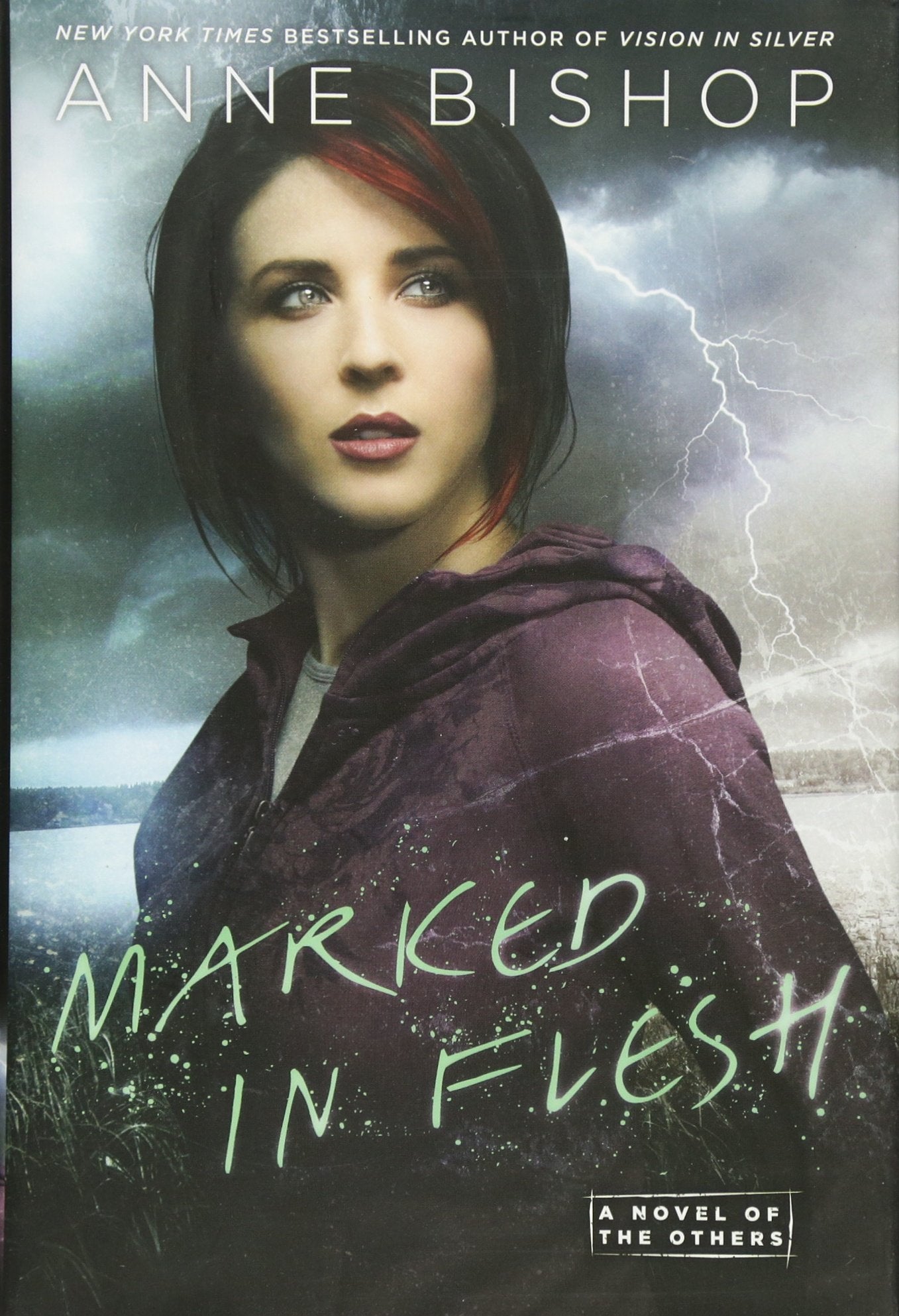 Marked In Flesh (A Novel of the Others)