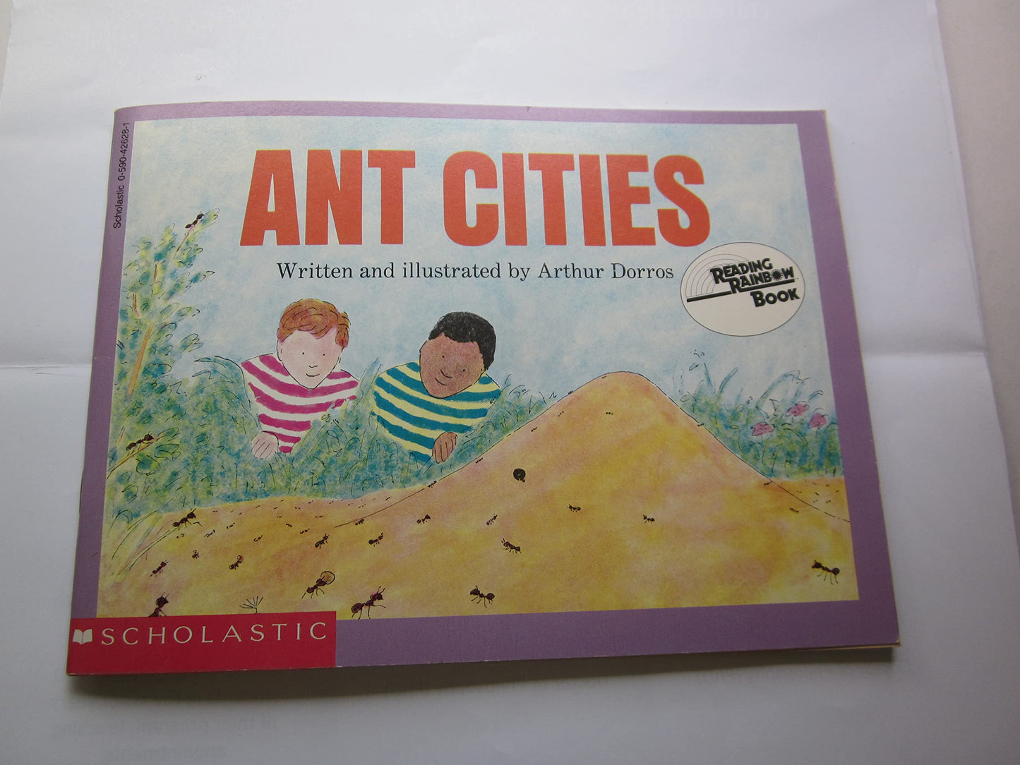 Ant Cities