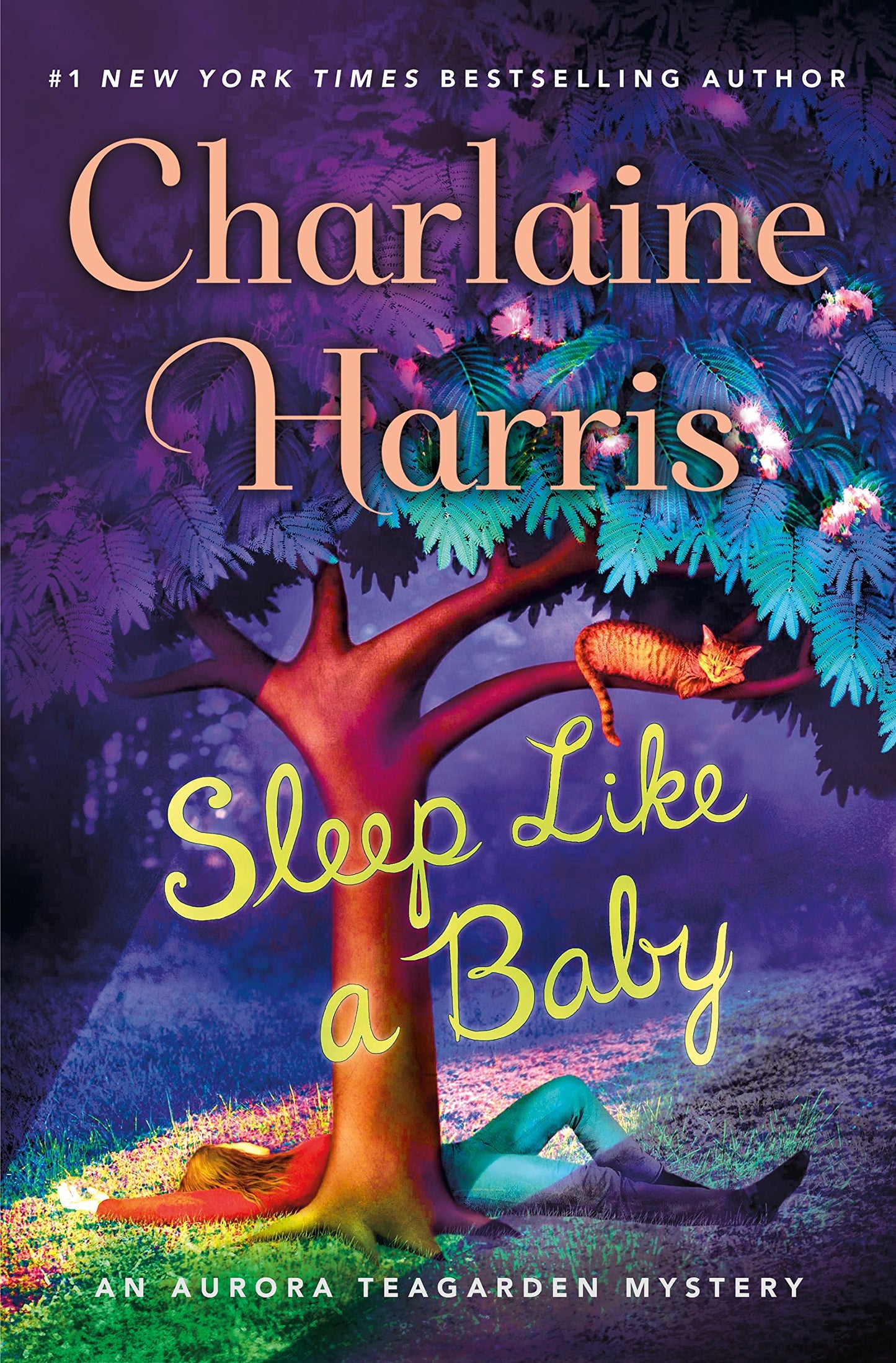 Sleep Like a Baby: An Aurora Teagarden Mystery (Aurora Teagarden Mysteries, 10)