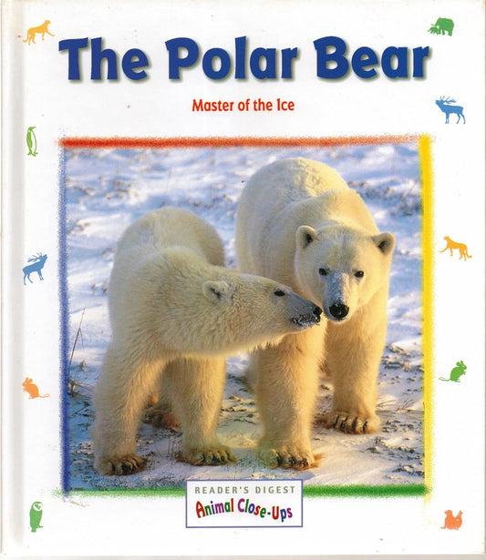 The Polar Bear (Animal Close-Ups)